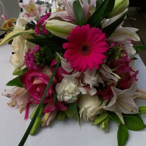 Meet your Posher, Olive blossoms flowers